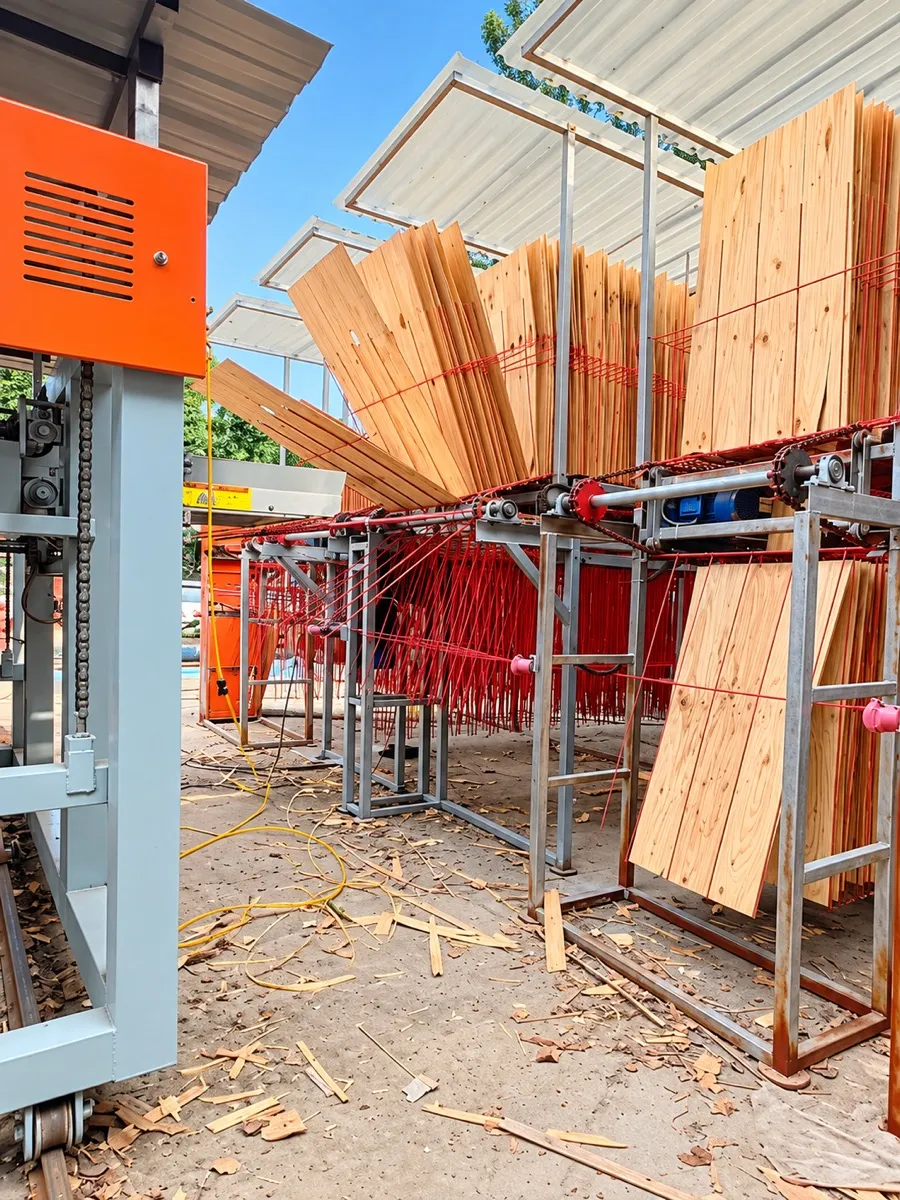 Máy phơi ván bóc tự động